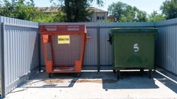 Почти 40 контейнеров для раздельного сбора мусора установили в Новопавловске