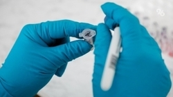 Возможные причины попадания бактерий в куриный фарш назвали в Национальной мясной ассоциации