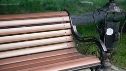 Ставропольцы активно поддерживают идею о создании сквера Горбачёва — экоактивист