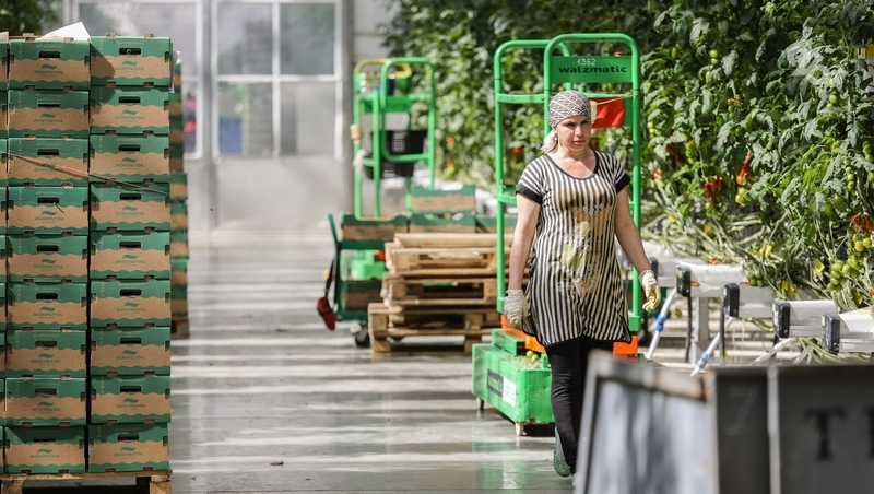 На Ставрополье реализуют 14 инвестпроектов в сельском хозяйстве