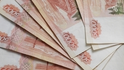 Житель Барнаула перевёл двум дропперам со Ставрополья 2 млн рублей 