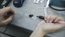 Ставропольская студентка предложила лечить тромбоз магнитными микрокаплями