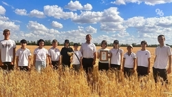 Юные аграрии Апанасенковского округа заняли первое место в краевом конкурсе