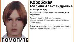 Из-за пропажи девушки-подростка на Ставрополье возбудили уголовное дело