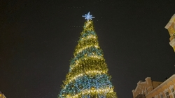 Главную новогоднюю ёлку зажгли в Кисловодске