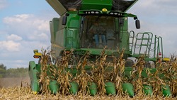 Ставропольские аграрии прогнозируют рост урожайности кукурузы 