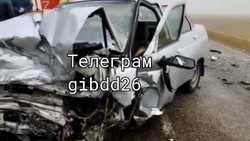 Начинающий водитель спровоцировал ДТП на Ставрополье — один человек погиб