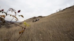 В жару клещи могут быть менее активны, но остаются опасными для россиян