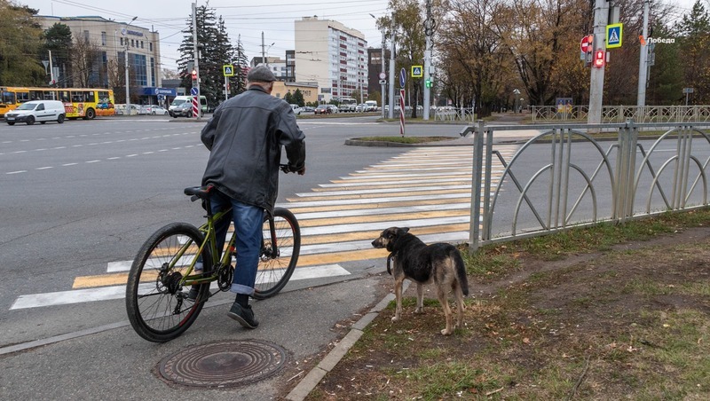 Власти Ставрополя опровергли фейк о расширении дороги на Кулакова за счёт газона
