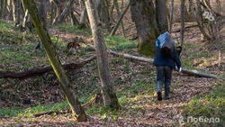 Гору Машук очистят от упавших деревьев по поручению губернатора Ставрополья