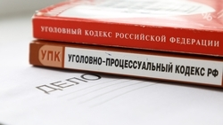 Подозреваемого в ограблении 89-летней женщины задержали в Пятигорске
