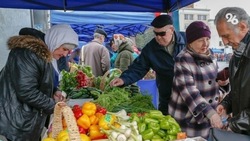 Сельхозпредприятия края представят новый урожай овощей на ярмарках 22 и 23 апреля в Ставрополе