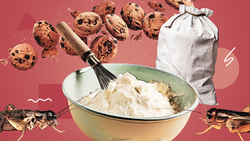 Полезный продукт или неприемлемая экзотика: кто и зачем хочет накормить ставропольцев сверчками