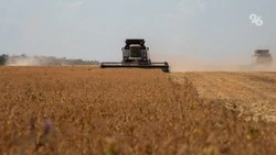 Более 70% площадей озимого ячменя убрали Предгорном округе