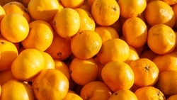 Диетолог Лазуренко: в день можно съедать не более 200 г мандаринов 