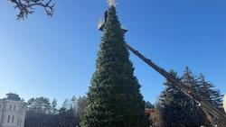 Установка главной новогодней ёлки завершается в Кисловодске