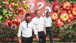 Сок, пюре и пектин: губернатор Владимиров нацелил аграриев перерабатывать яблоки на Ставрополье