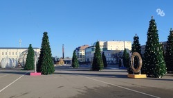 Ставрополь постновогодний: как встретила краевая столица первое утро 2024 года