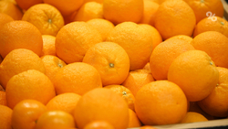 В Роспотребнадзоре рассказали о правилах выбора и хранения мандаринов