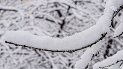 Жителей оставшегося без отопления дома в Ессентуках временно переселят