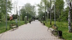 Жители Ставрополя могут проголосовать за благоустройство территории до 26 марта