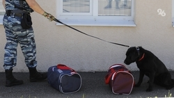 Взрывных устройств в колледжах и вузах Будённовска и Ессентуков не обнаружили 