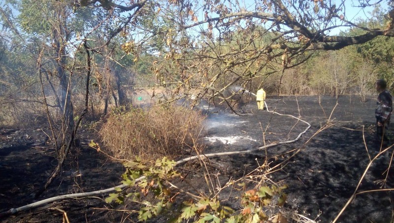 Четверо ставропольских подростков сдерживали пожар до прибытия спасателей