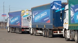 Казаки Ставрополья доставили в Антрацит более 6 тонн гуманитарной помощи