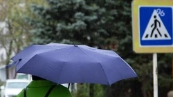 Из-за ливней и сильного ветра на Ставрополье ввели режим повышенной готовности