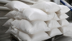 Производство муки из сверчков запустили на Ставрополье