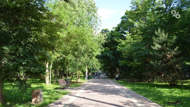 Глава минприроды Ставрополья назвал самые проблемные по состоянию лесополос округа региона