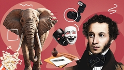 Литературная игра, группа «Многоточие» и мастер-класс по фото: как ставропольцам провести выходные 6 и 7 сентября