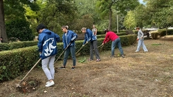 Партийцы вышли на субботник в Степновском и Советском округах