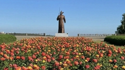 Городские цветники Ставрополя украсили цвета триколора