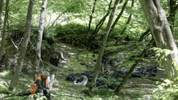 Глава минприроды Ставрополья предложил ужесточить штрафы за загрязнение лесов