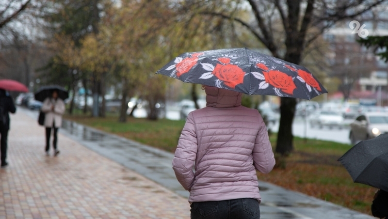 Штормовое предупреждение до 1 июня включительно объявили на Ставрополье