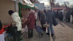 Новогодняя продуктовая ярмарка прошла в Ставрополе