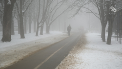 Метель и гололёд ожидаются в начале последней недели 2025 года на Ставрополье