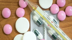 Учёные аграрного вуза на Ставрополье разработали наночастицы для антибиотиков