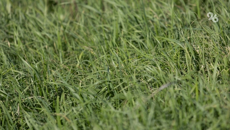 Минераловодский водоканал подозревают в нанесении ущерба почве на 19 млн рублей