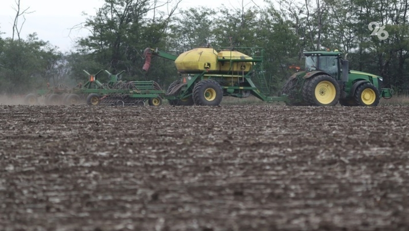 Аграрии Ставрополья получают ежегодно от 5 млрд до 6 млрд руб. господдержки