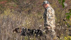 Ограничения по охоте на фазанов сняли в Ставропольском крае