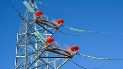916 птицезащитных устройств установили на линиях электропередачи Ставрополья