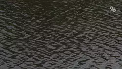 Спасителю утопающей девочки в Махачкале вручат премию в 1 млн рублей — RT