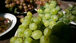 Агротуризм популярен на Ставрополье — губернатор Владимиров