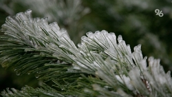 МЧС Ставрополья предупреждает о заморозках до -2 градусов в течение двух дней