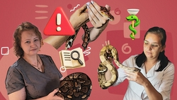 Ползучая угроза: какие змеи обитают на Ставрополье и нужно ли их бояться?