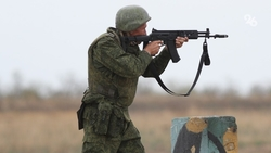 Власти Ставрополья разбираются в проблеме с выплатой компенсации семье погибшего на СВО добровольца