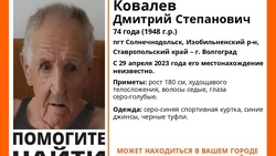 Пропавшего пенсионера из Солнечнодольска ищут на Ставрополье
