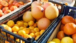 Кола и цитрусовые разрушают зубную эмаль — врач Патлатая 
